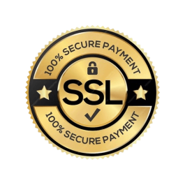 maid-vip-ssl-secure-online-payment